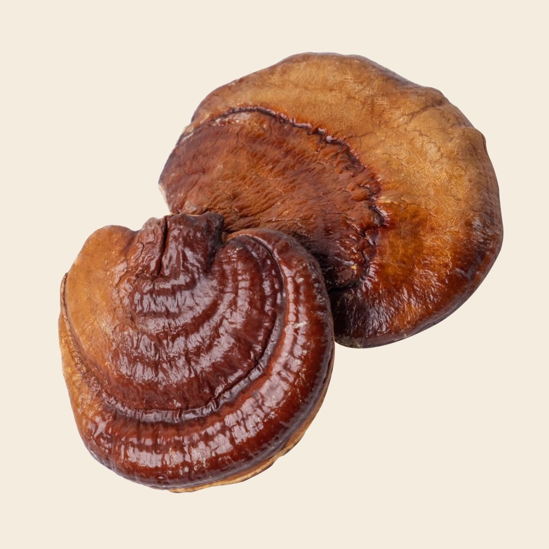 Dehydrated Reishi Mushroom