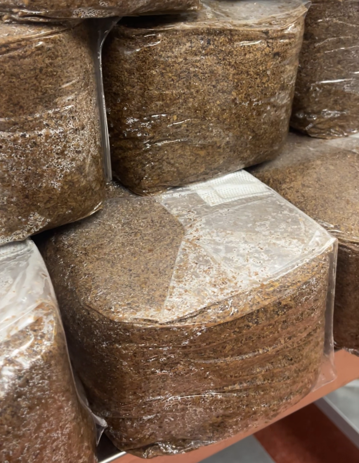 3kg Sterilized Sawdust Substrate Bag