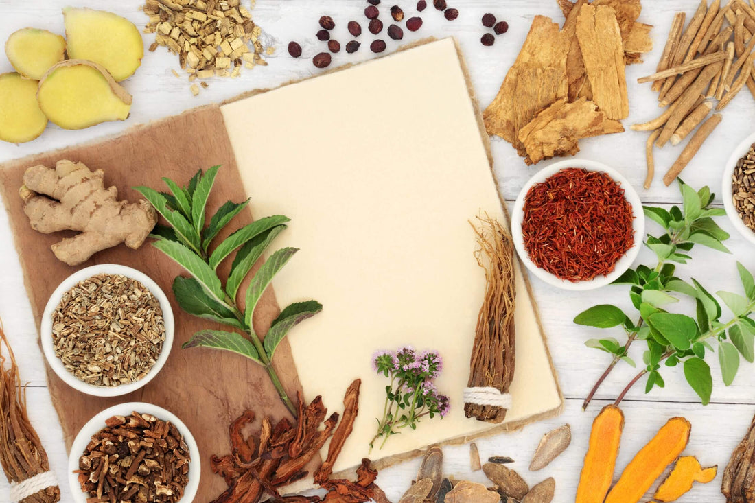 Adaptogens: Nature's Homeostatic Pharmacy