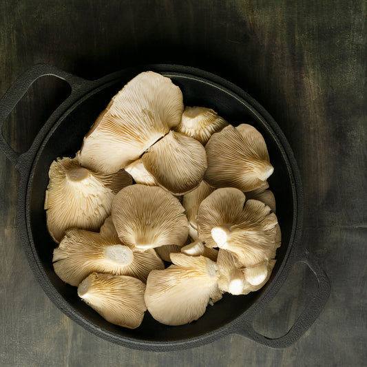Recipe: Garlic Butter Oyster Mushrooms