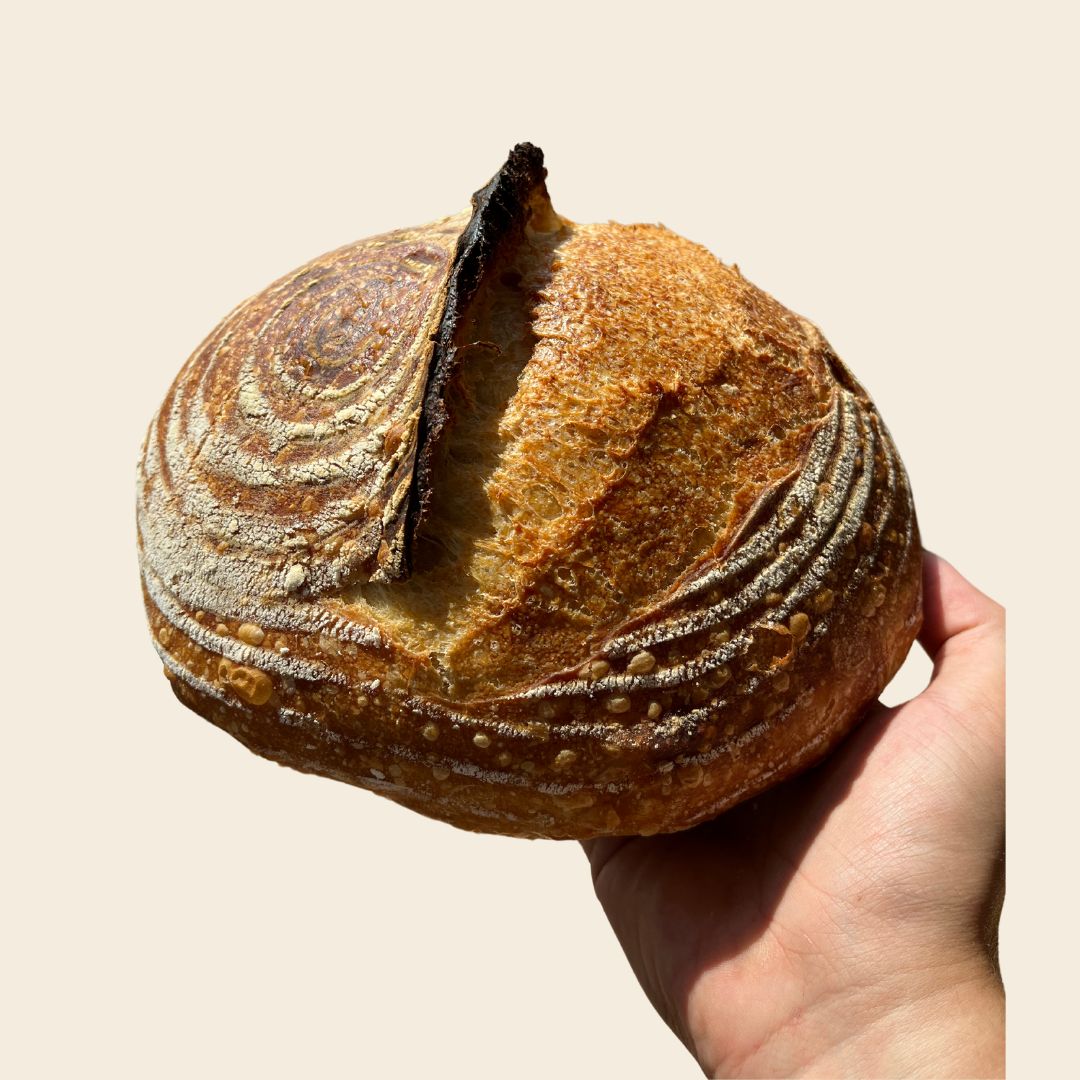 Dehydrated Sourdough Starter